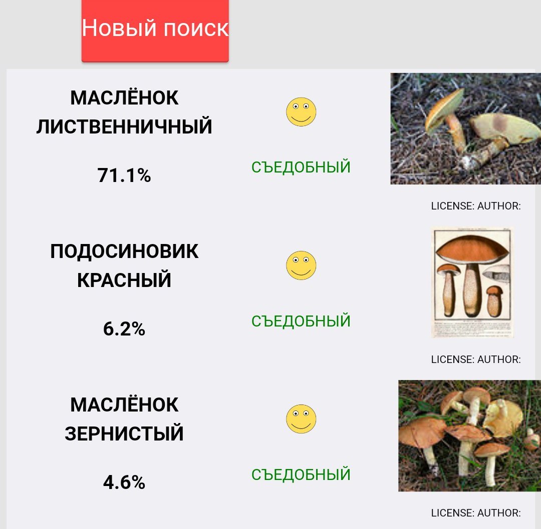 Программа для распознавания грибов по фото